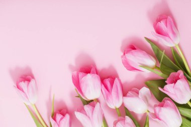 Pembe arka planda güzel pembe laleler