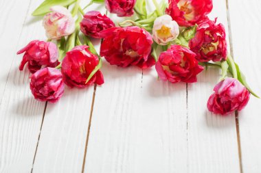 Beyaz ahşap zemin üzerinde kırmızı laleler