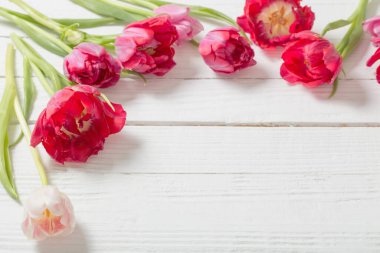 Beyaz ahşap zemin üzerinde kırmızı laleler