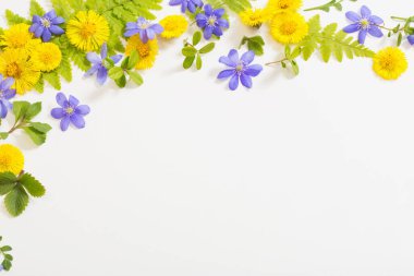 bahar sarısı ve menekşe çiçekleri kağıt arkaplanda