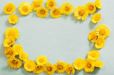 Kağıt arkaplanda bahar sarısı çiçekler