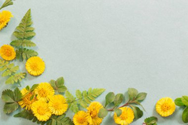 Kağıt arkaplanda bahar sarısı çiçekler