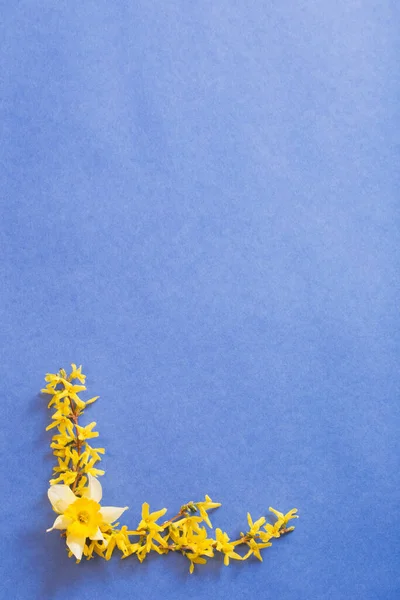 Flores Primavera Sobre Fondo Papel Azul — Foto de Stock