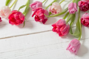 Beyaz ahşap zemin üzerinde kırmızı laleler