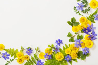 bahar sarısı ve menekşe çiçekleri kağıt arkaplanda