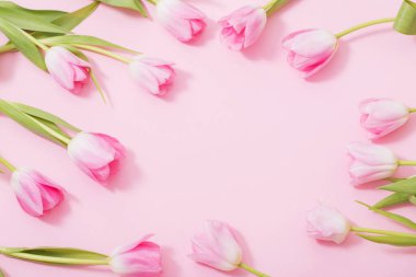 Pembe arka planda güzel pembe laleler