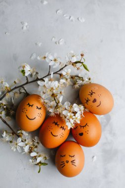 Güzel Paskalya yumurtaları. Yuvalı tavuk. Komik ve şirin bir dekorasyon. Mutlu Paskalyalar. Üst manzara, yan manzara. Metin için boşluk.
