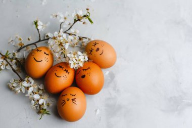 Güzel Paskalya yumurtaları. Yuvalı tavuk. Komik ve şirin bir dekorasyon. Mutlu Paskalyalar. Üst manzara, yan manzara. Metin için boşluk.