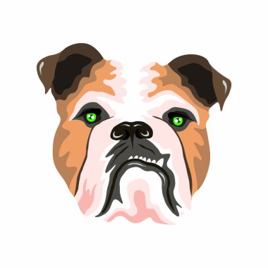 Web siteniz veya sosyal medya ihtiyaçlarınız için resim ve element vektörü düzenlenebilir.