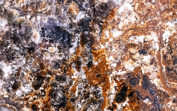 Glossy marble with brown, black and white patterns. A sample of natural marble with a pronounced texture. — ストック写真
