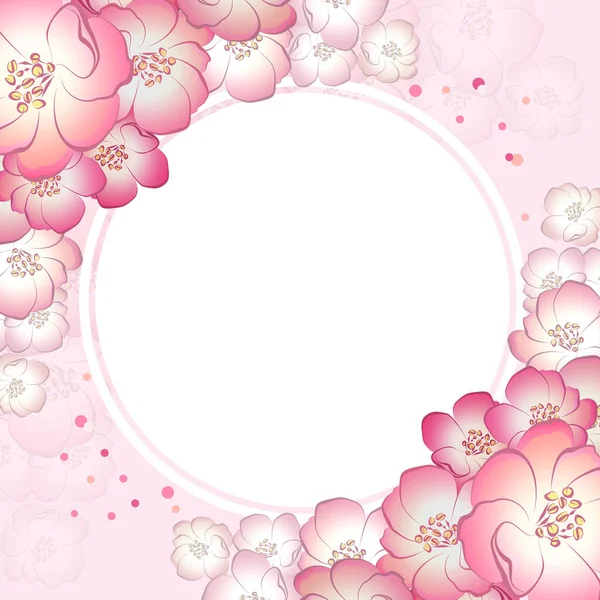 Jemné Růžové Romantické Kvetoucí Květiny Spring Frame Kolo Sakura — Stock fotografie