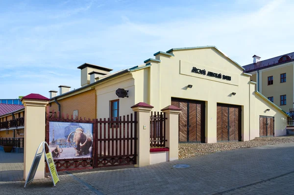 Museum der Minsker Pferdestraßenbahn, Weißrussland — Stockfoto