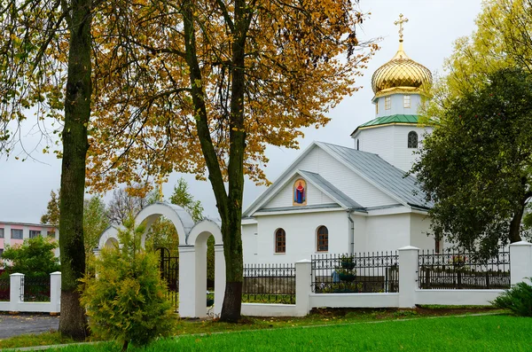 St. Nicolaaskerk, Senno, Wit-Rusland — Stockfoto