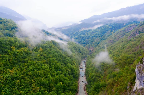 Köd folyó Tara, Montenegro — Stock Fotó