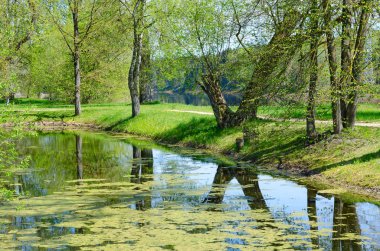 Gölet Müzesi-Emlak büyük Rus ressam yani yer alan Repin Zdravnevo, Vitebsk region, Beyaz Rusya topraklarında