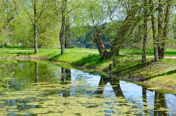 Pond on territory of museum-estate of great russian painter I.E. Repin Zdravnevo, Vitebsk region, Belarus — Stock Photo, Image
