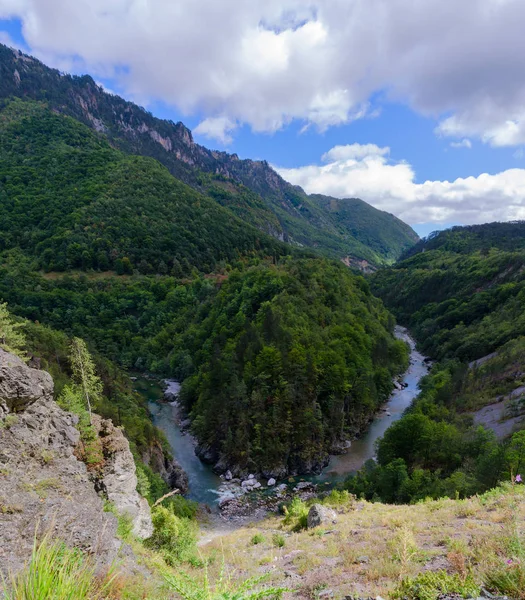 Canyon a River Tara, Montenegró — Stock Fotó