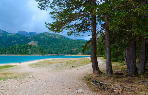 Fekete-tó Nemzeti Park Durmitor, Montenegro — Stock Fotó