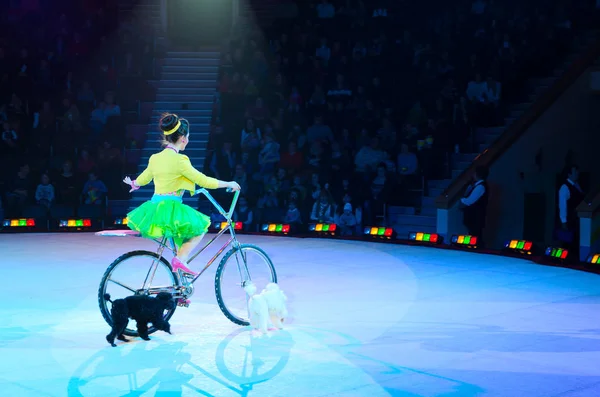Moskova sirk tur rehberliğinde Victoria Alexandrova buz eğitimli köpekler üzerinde