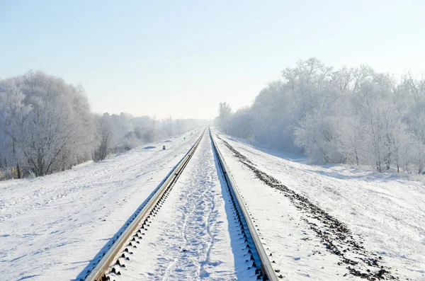 Railroad tracks that go into distance. Winter landscape — Stock Photo, Image