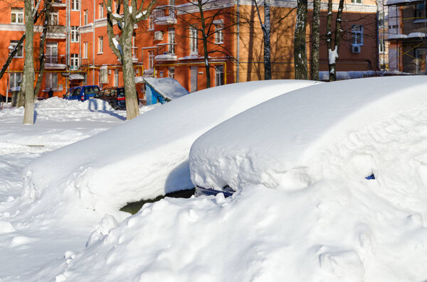 Parked cars under snowdrifts in city yard after snowfall in March