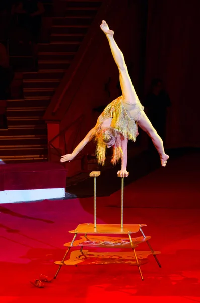 Tour di Mosca Circus prende il nome da Nikulin. Caoutchouc (numero eseguito da Alesya Laverycheva ) — Foto Stock