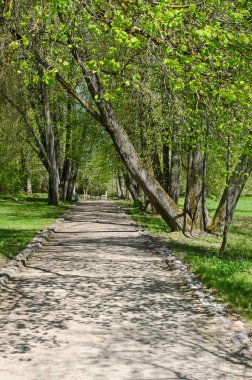 Eski ıhlamur sokak Müzesi-Emlak, Ilya Zdravnevo, yer alan Repin Vitebsk region, Beyaz Rusya topraklarında