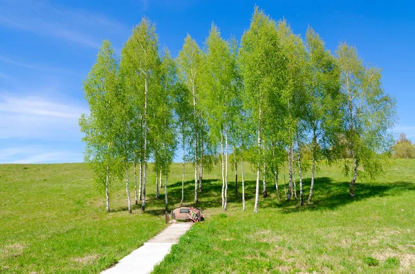 Memorial plate in memory of events of Great Patriotic War on stone surrounded by birches, Vitebsk region, Belarus — Stock Photo, Image
