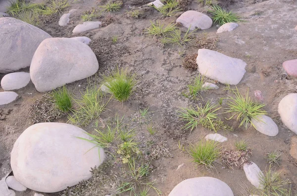 Fotoğraf Beas Nadaun Nehri kıyısında çekildi Hiamchal Pradesh Hindistan 