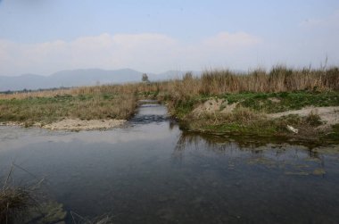 Kaloor Himachal Pradesh 2 'nin arka plan görüntüsü