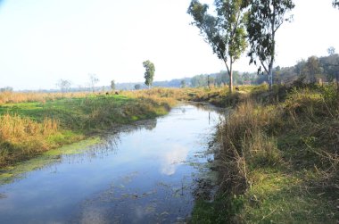 Kaloor Himachal Pradesh 'teki Beas Nehri Kanalı Hindistan 