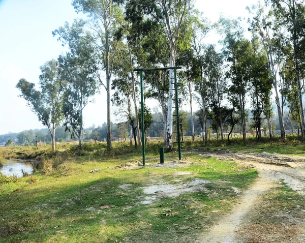 Yeşil Renk Hindistan 1 'in Yapısını Çal