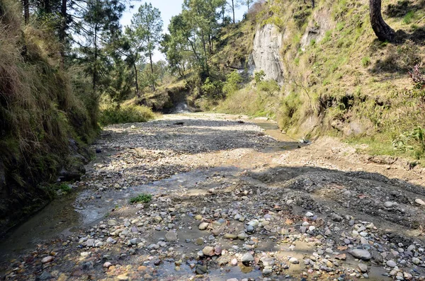 Kanał Rzeki Amb Himachal Pradesh Indie Obrazek Stockowy