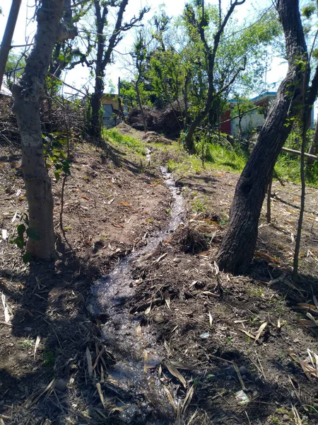 Kangoo Köyü 'nün Su Kanalı Hamirpur Himachal Pradesh Hindistan 
