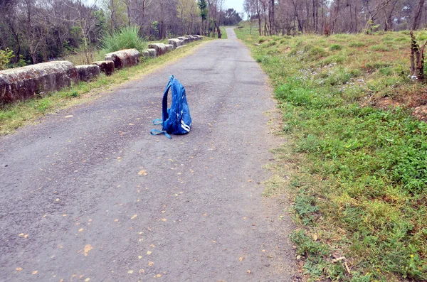 Himachal Pradesh 'in Ormanı' ndaki Boş Yol üzerindeki Mavi Çanta 10 numara.