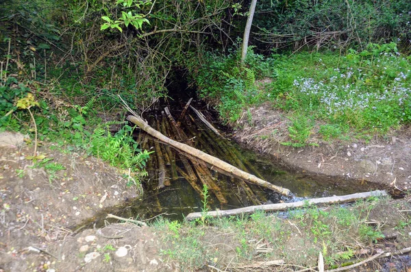 Kanäle Des Flusses Beas Himachal Pradesh Indien Hintergrundansicht — Stockfoto