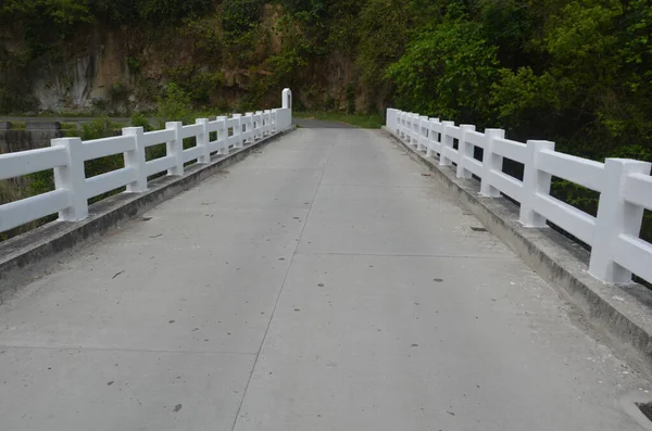 Palampur Ormanı 'ndaki Beyaz Köprü Himachal Pradesh Hindistan 