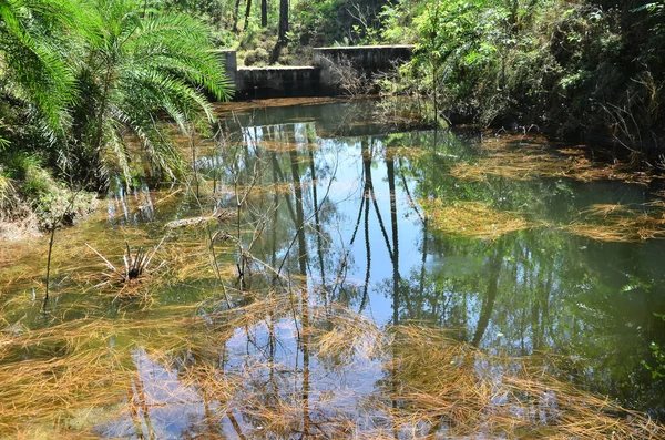 Bu fotoğraf Kangoo kasabası Himachal Pradesh Hindistan 'da çekildi.  