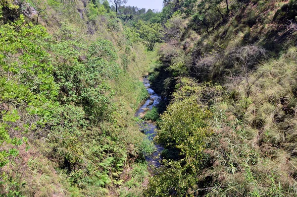 Water Channel Forest Kangoo Town Himachal Pradesh India — Stock Photo, Image