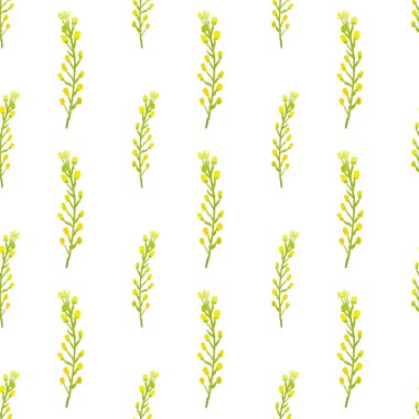 Beyaz arka planda sarı böğürtlenli elle boyanmış suluboya bitkiler. El çizimi pürüzsüz desen.