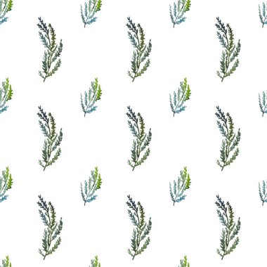 El boyası suluboya çam dalları beyaz zemin üzerinde pürüzsüz desen.