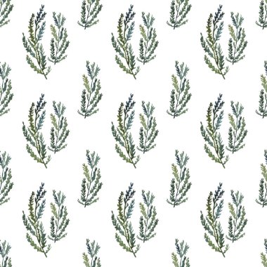 El boyası suluboya çam dalları beyaz zemin üzerinde pürüzsüz desen.