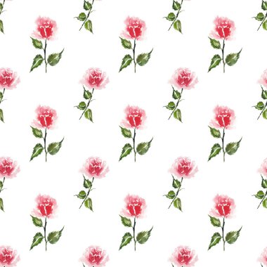 Beyaz arkaplanda elle boyanmış kırmızı gül pürüzsüz desen.