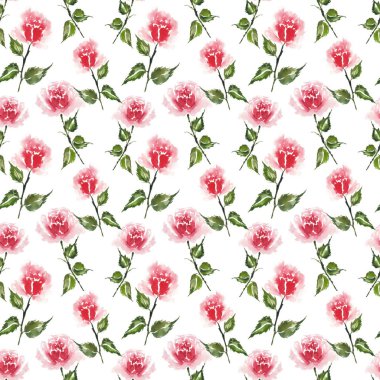 Beyaz arkaplanda elle boyanmış kırmızı gül pürüzsüz desen.