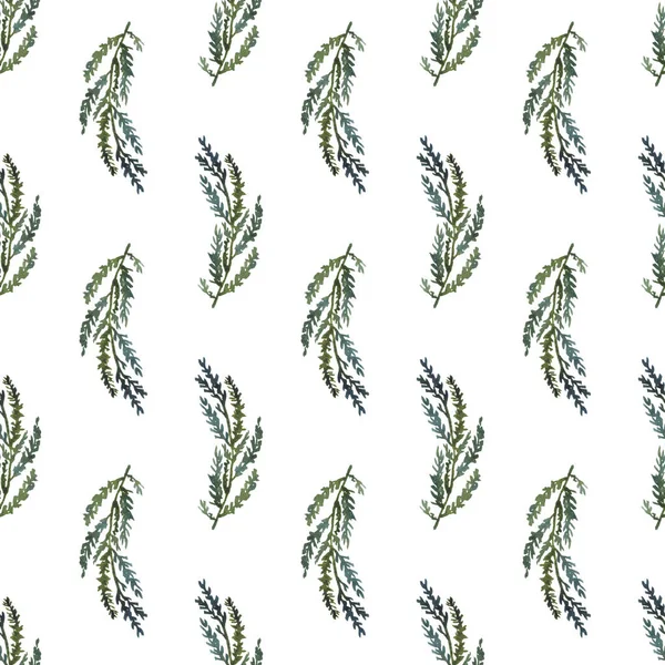 Hand Painted Watercolor Pine Branches Seamless Pattern White Background Stock Image