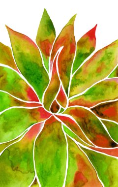 El çizimi sulu boya kırmızı, yeşil ve kahverengi renklerle sulu.