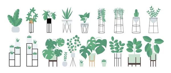 Kapalı alandaki bitkilerin izole edilmiş bir temsili. İç mimari. — Stok Vektör