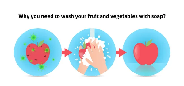 Laver les fruits. Mains tenant la pomme sous le robinet. Bras en mousse bulles de savon laver la nourriture. Illustration vectorielle plan isolé sur fond. Désinfection, lavage des légumes. Lavage antibactérien — Image vectorielle