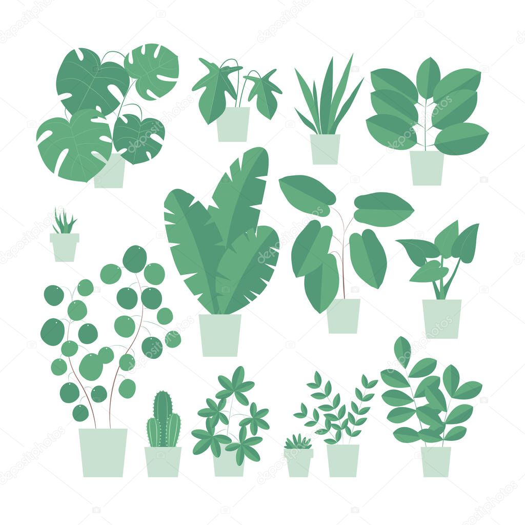 Vector isolated illustration of an indoor plants. Home interior. Houseplants set in a flat design style. Home plants in a modern style