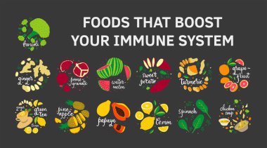 İnsan Sağlığı Bağışıklık Sistemi Destekleyicileri - vektör illüstrasyon, çizgi film karalama el düz çizim. Nar, karpuz, çam elması, papaya, limon, zencefil, zerdeçal, brokoli, chichen çorbası, ıspanak..